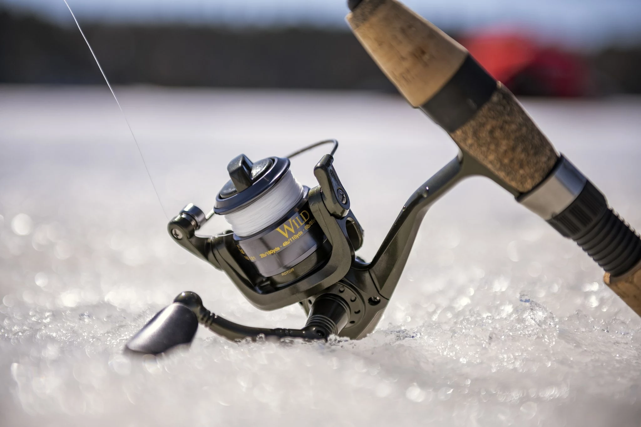 Karpfenrollen Verkäufe 15 Karpfenrollen Verkäufe -Karpfenrollen Verkäufe 75402074 2673246462757951 4222546098620727296 n